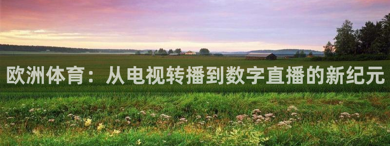 51视频在线直播nba：欧洲体育：从电视转播到数字直播的新纪元