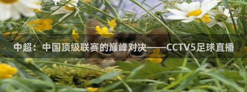 51视频在线直播nba：中超：中国顶级联赛的巅峰对决——CCTV5足球直播