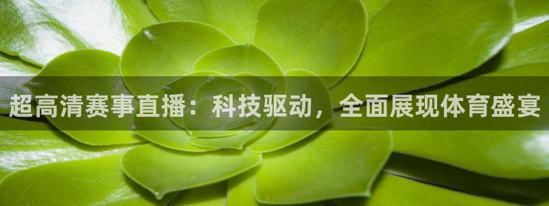51视频在线直播nba：超高清赛事直播：科技驱动，全面展现体育盛宴