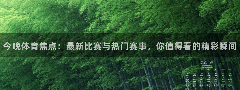 51视频在线直播nba：今晚体育焦点：最新比赛与热门赛事，你值得看的精彩瞬间