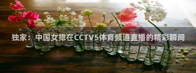 51视频在线直播nba：独家：中国女排在CCTV5体育频道直播的精彩瞬间