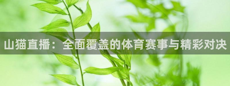 51视频在线直播nba：山猫直播：全面覆盖的体育赛事与精彩对决