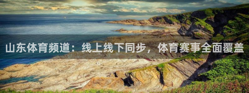51视频在线直播nba：山东体育频道：线上线下同步，体育赛事全面覆盖